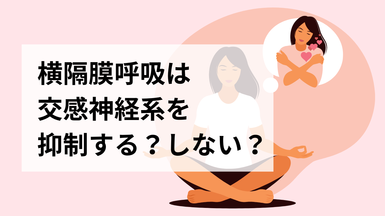 横隔膜呼吸は交感神経系を抑制する？しない？